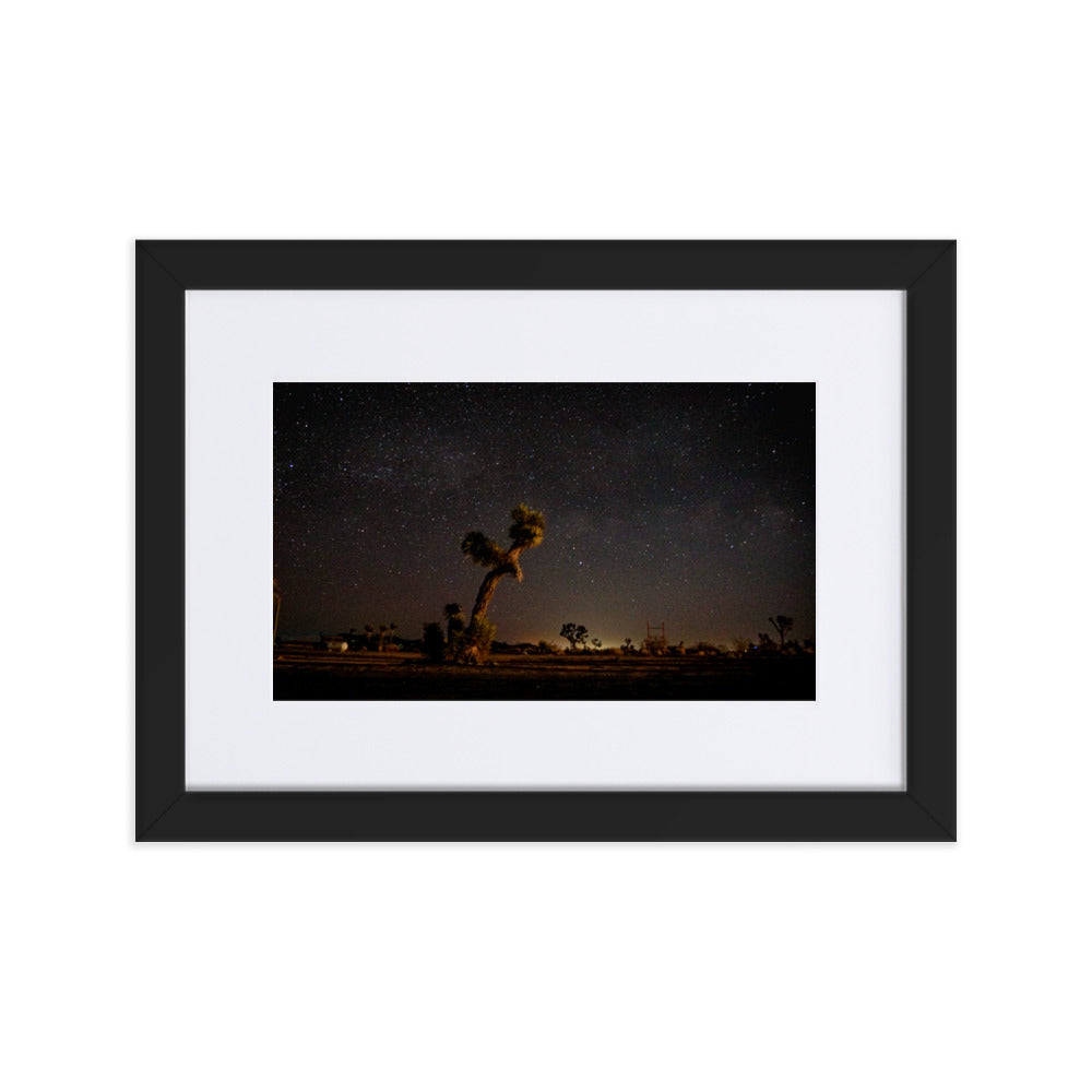 Joshua Tree at Night Framed Photo