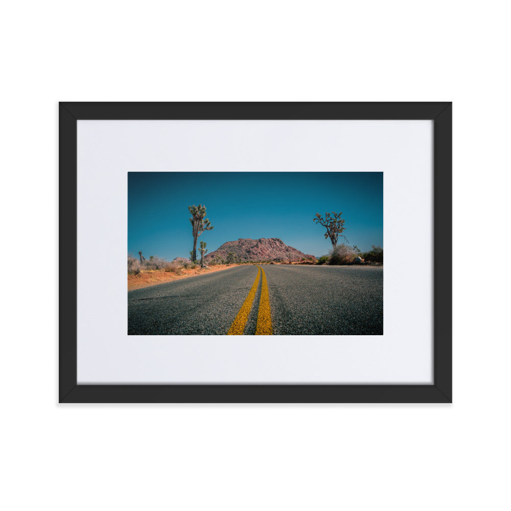 Joshua Tree Roads