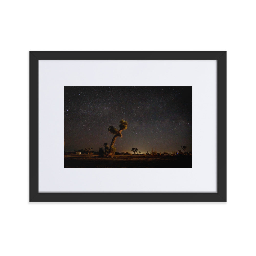 Joshua Tree at Night Framed Photo