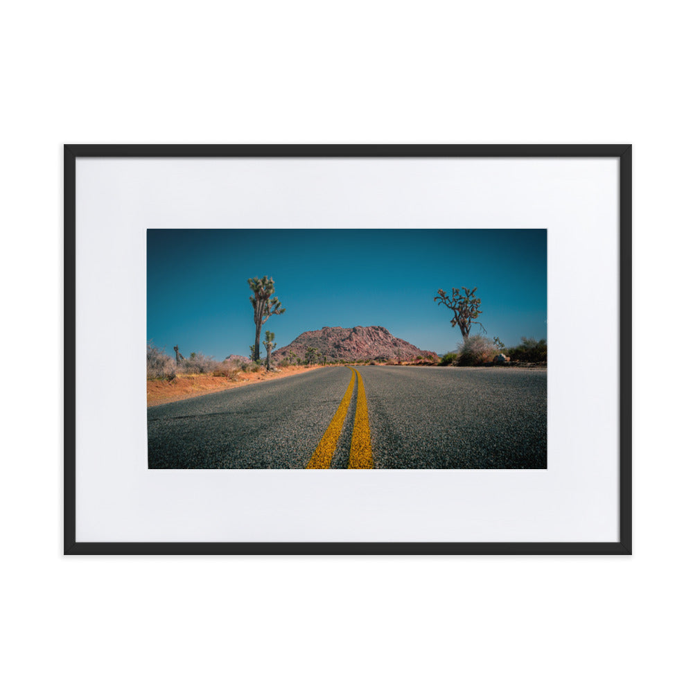 Joshua Tree Roads