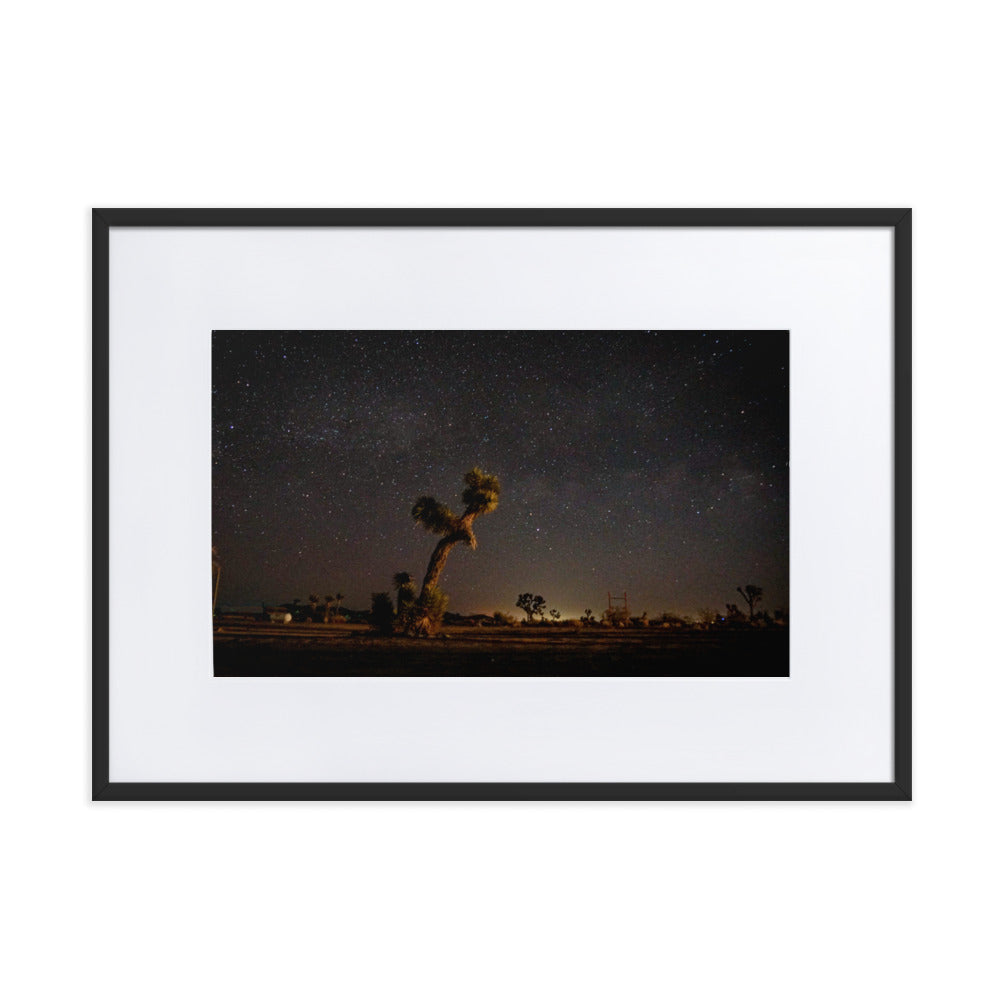 Joshua Tree at Night Framed Photo