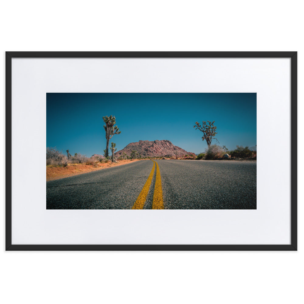 Joshua Tree Roads