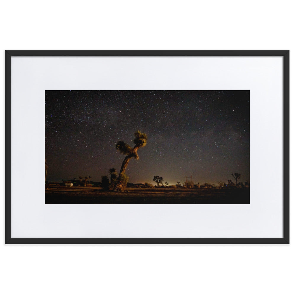 Joshua Tree at Night Framed Photo