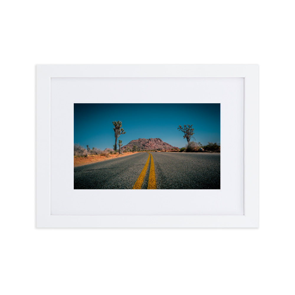 Joshua Tree Roads