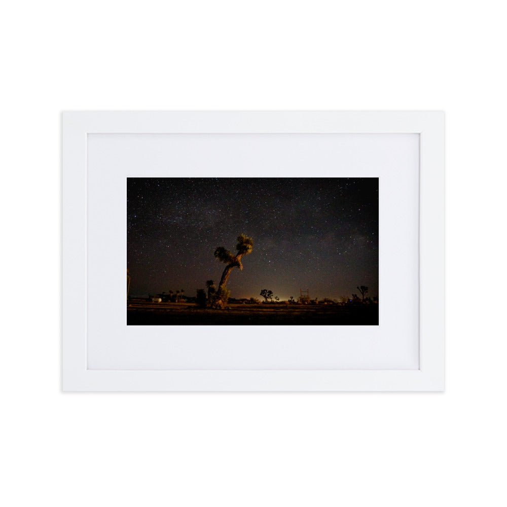 Joshua Tree at Night Framed Photo