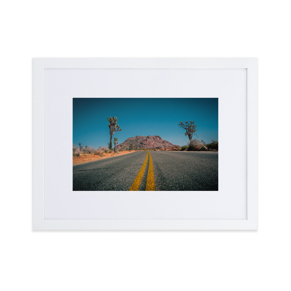 Joshua Tree Roads