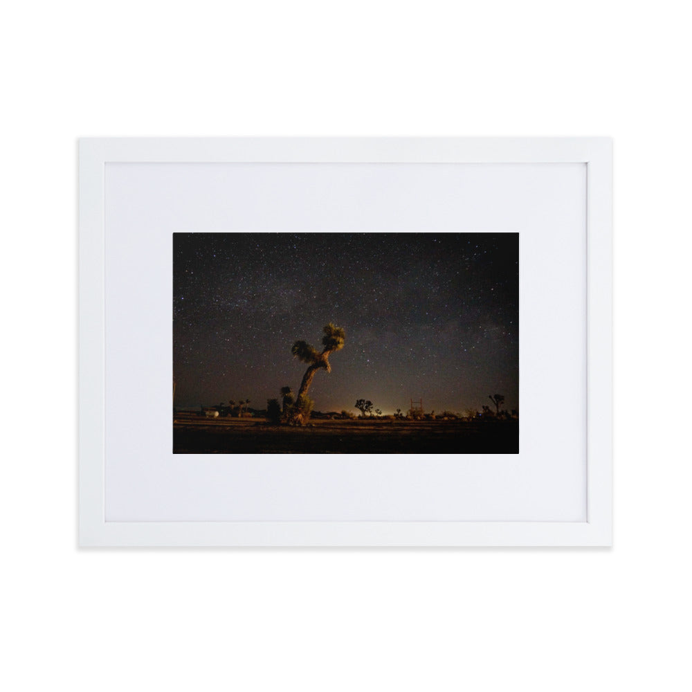 Joshua Tree at Night Framed Photo