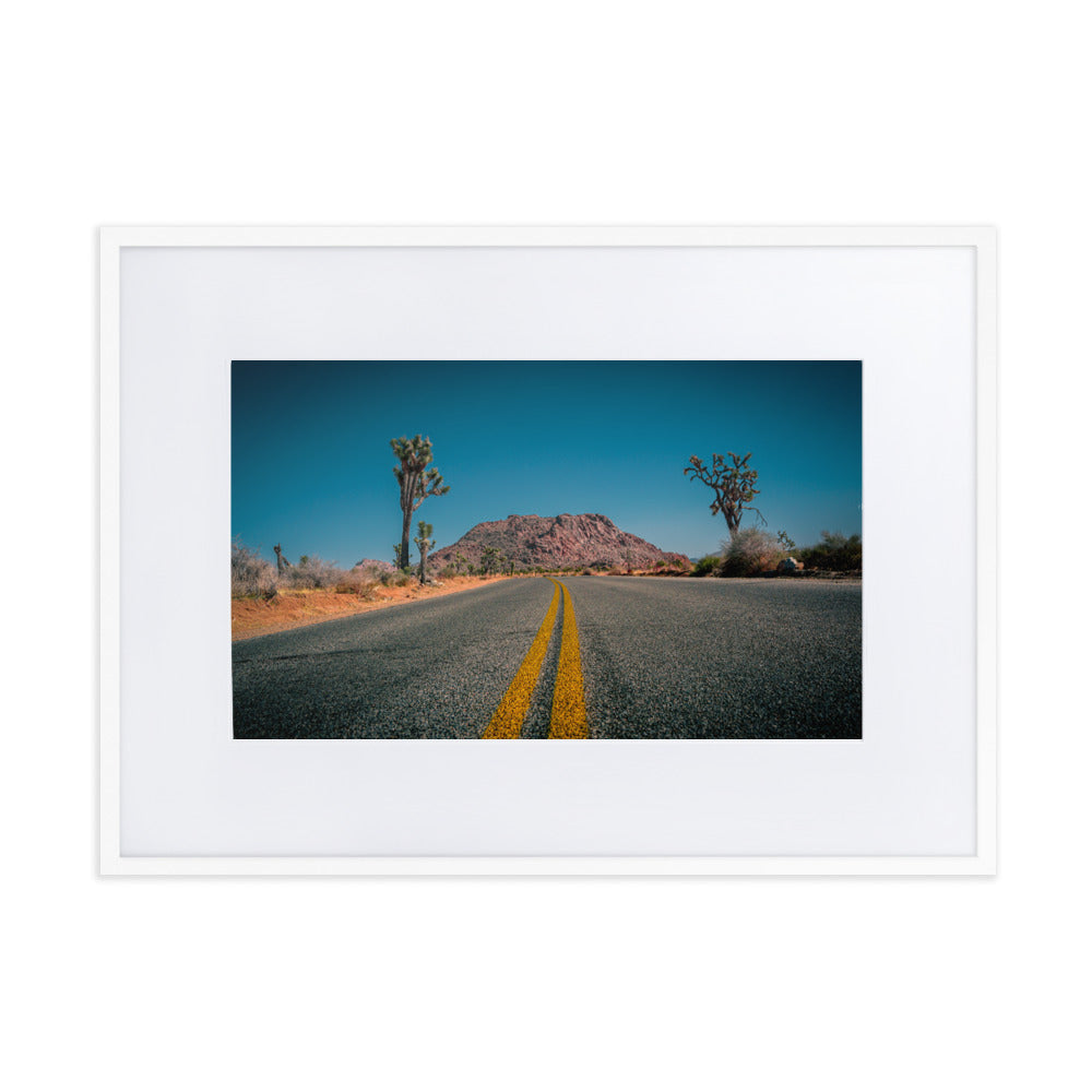 Joshua Tree Roads