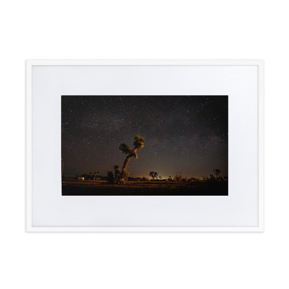 Joshua Tree at Night Framed Photo