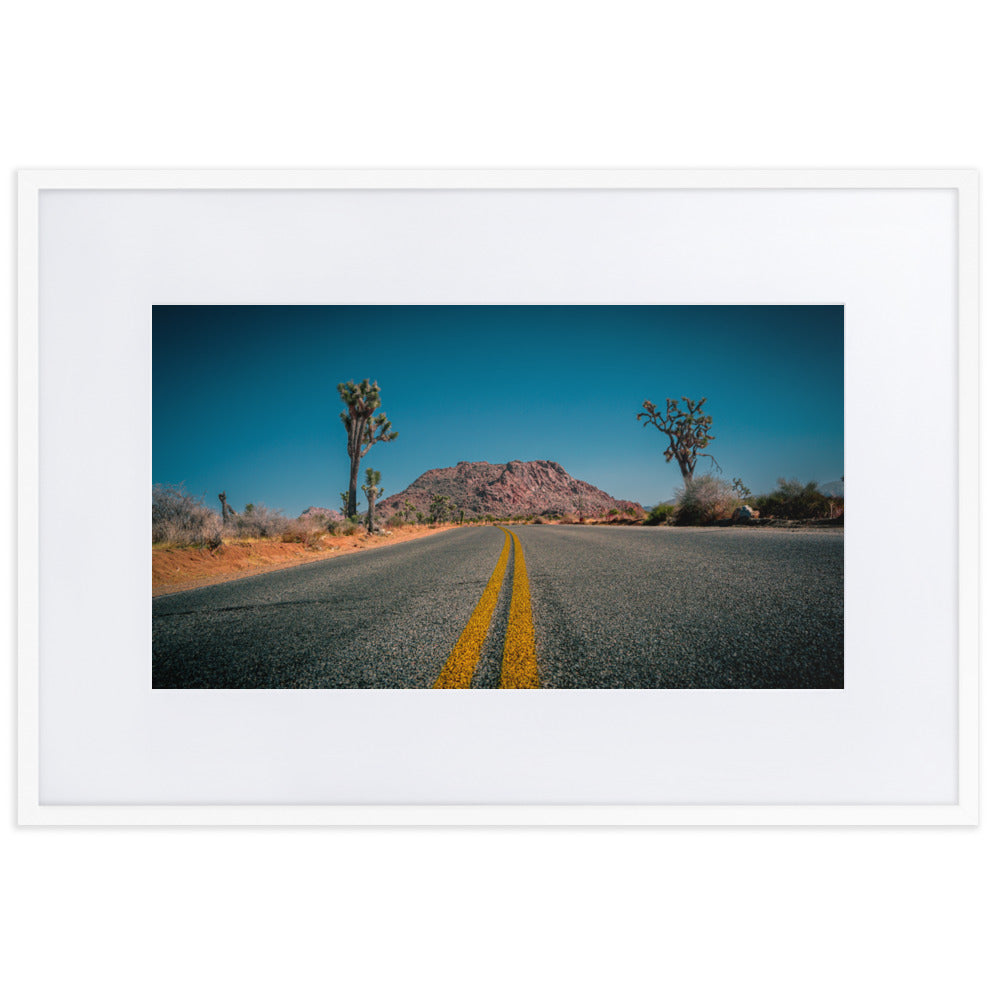 Joshua Tree Roads