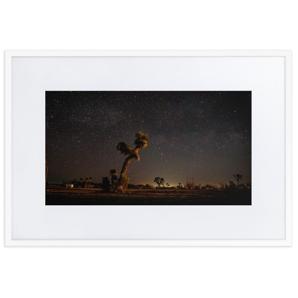 Joshua Tree at Night Framed Photo